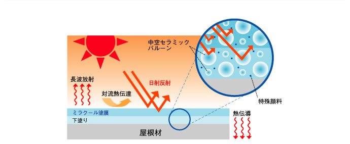 ミラクールの特徴